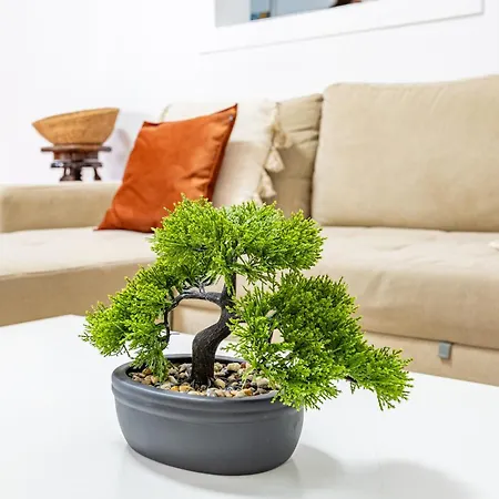 Pena Vista Mar By Your Key Casa de Férias *